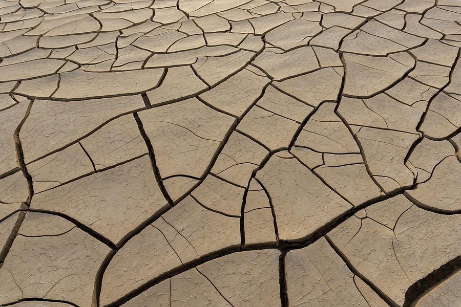 Shattered Grounds Photograph by Brad Scott