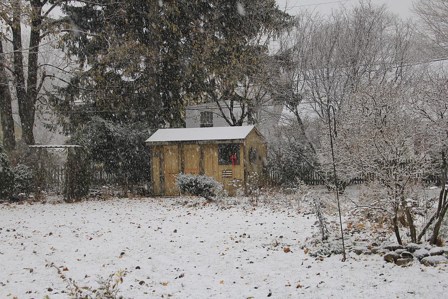 She Shed in Snow Photograph by Valerie Collins