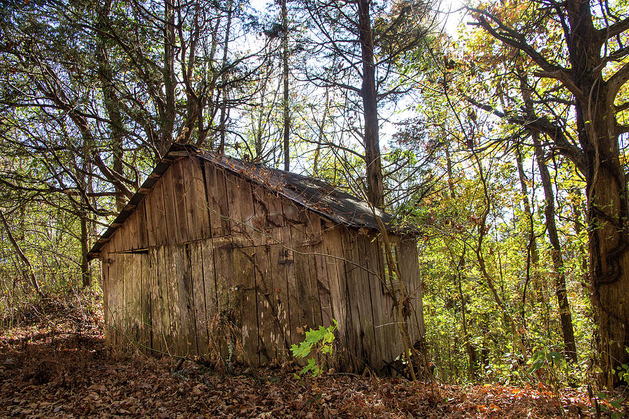 Shed in Tennessee Photograph by Fred DeSousa