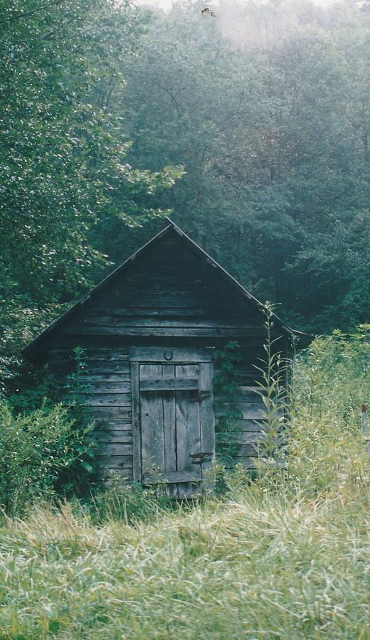 Shed in the Holler Photograph by Lois Tomaszewski