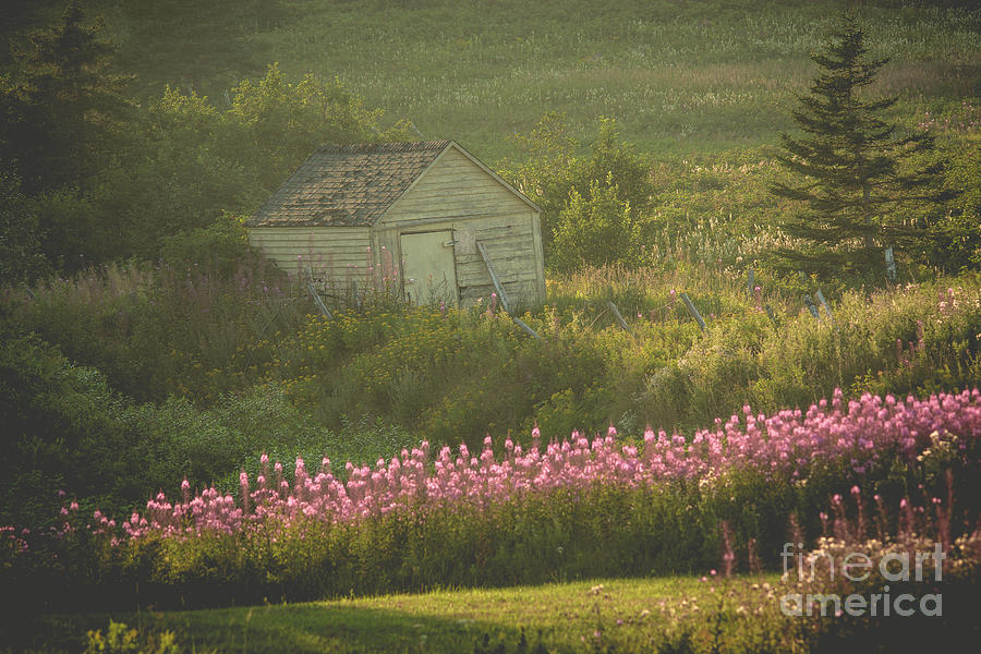 Shed on a Hill Photograph by Cheryl Baxter
