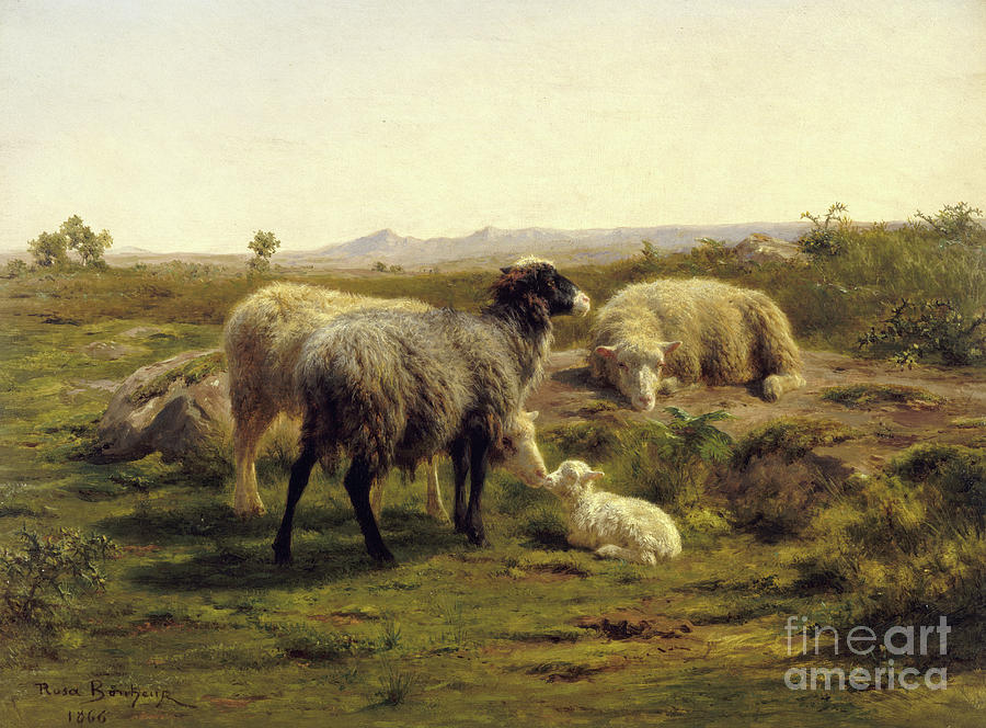 Rosa Bonheur Painting - Sheep and lambs, 1866 by Rosa Bonheur