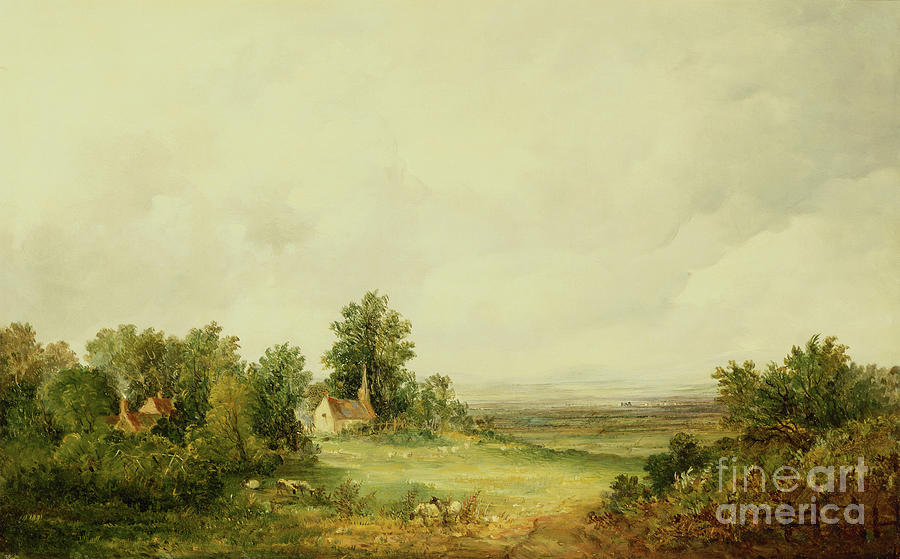 Sheep By A Church In A Wooded Landscape, 1856 Painting by Alfred Vickers