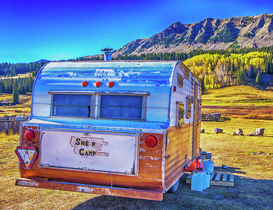 Sheep Camp by Wayne Johnson Sheep Camp by Wayne Johnson