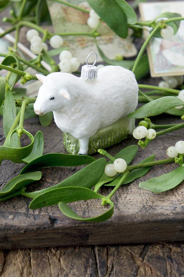 Sheep Christmas-tree Bauble Amongst Sprigs Of Mistletoe On Wooden Surface Photograph by Martina Schindler