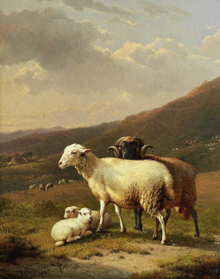 sheep in a landscape