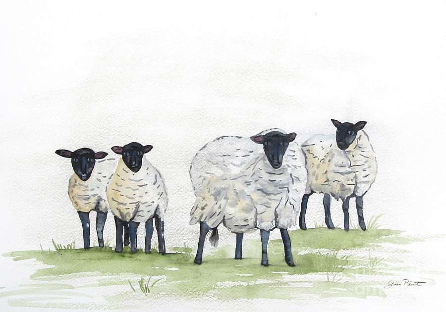 Sheep In Watercolor Photograph by Jean Plout