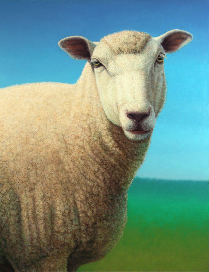 Sheep Mixed Media - Sheep by James W. Johnson