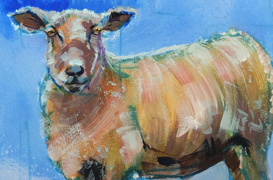 Sheep looking right at you by Mike Jory Sheep looking right at you by Mike Jory