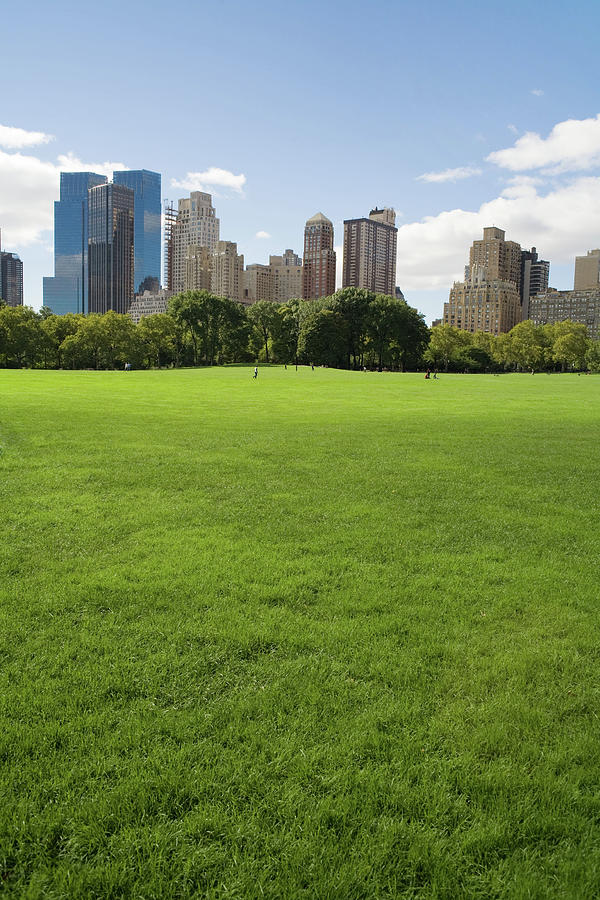 Sheep Meadow Photograph by Ravenht