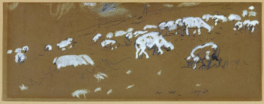 Sheep Painting by MotionAge Designs