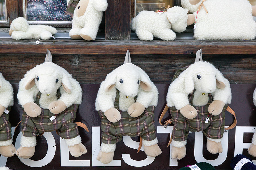 Sheep Stuffed Animals Digital Art by Walter Bibikow