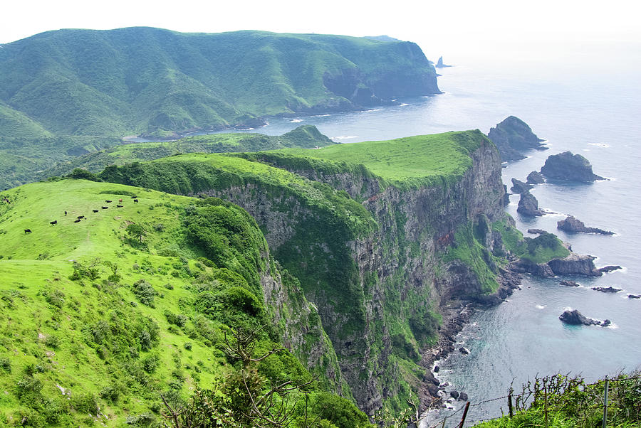 Sheer Cliff On Coastline, Oki Islands Photograph by Ippei Naoi