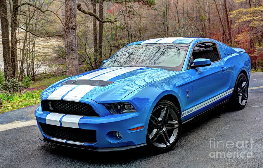 Shelby Gt500 Photograph