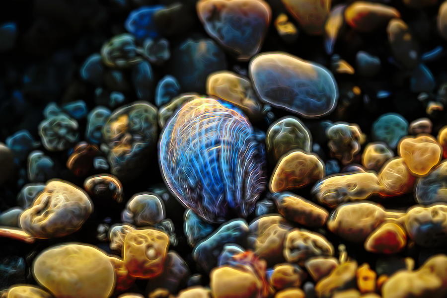 Shell and Rocks Abstract by Karen Silvestri Shell and Rocks Abstract by Karen Silvestri