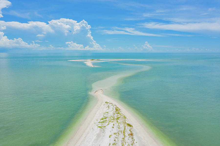 Shell Island Photograph by Joey Waves Shell Island Photograph by Joey Waves