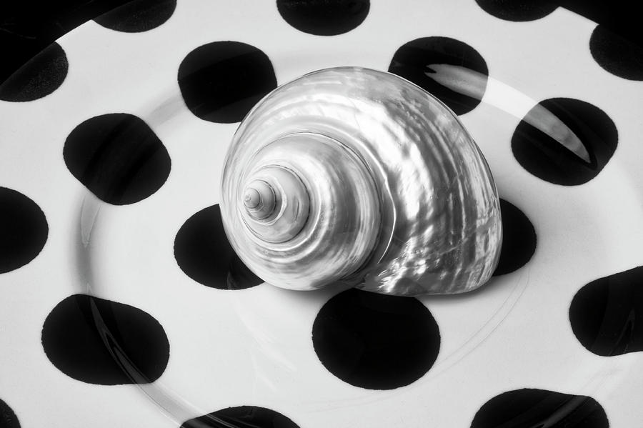 Shell On Poka Dot Plate Black And White Photograph by Garry Gay