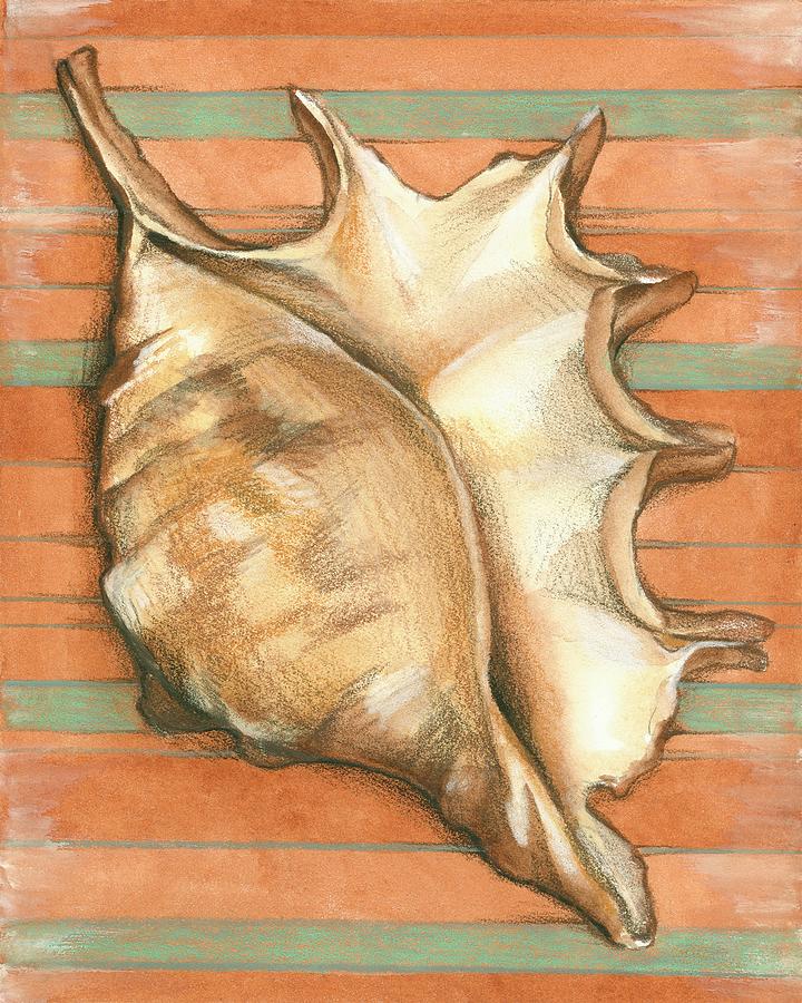 Shell Painting - Shell On Stripes II by Laura Nathan