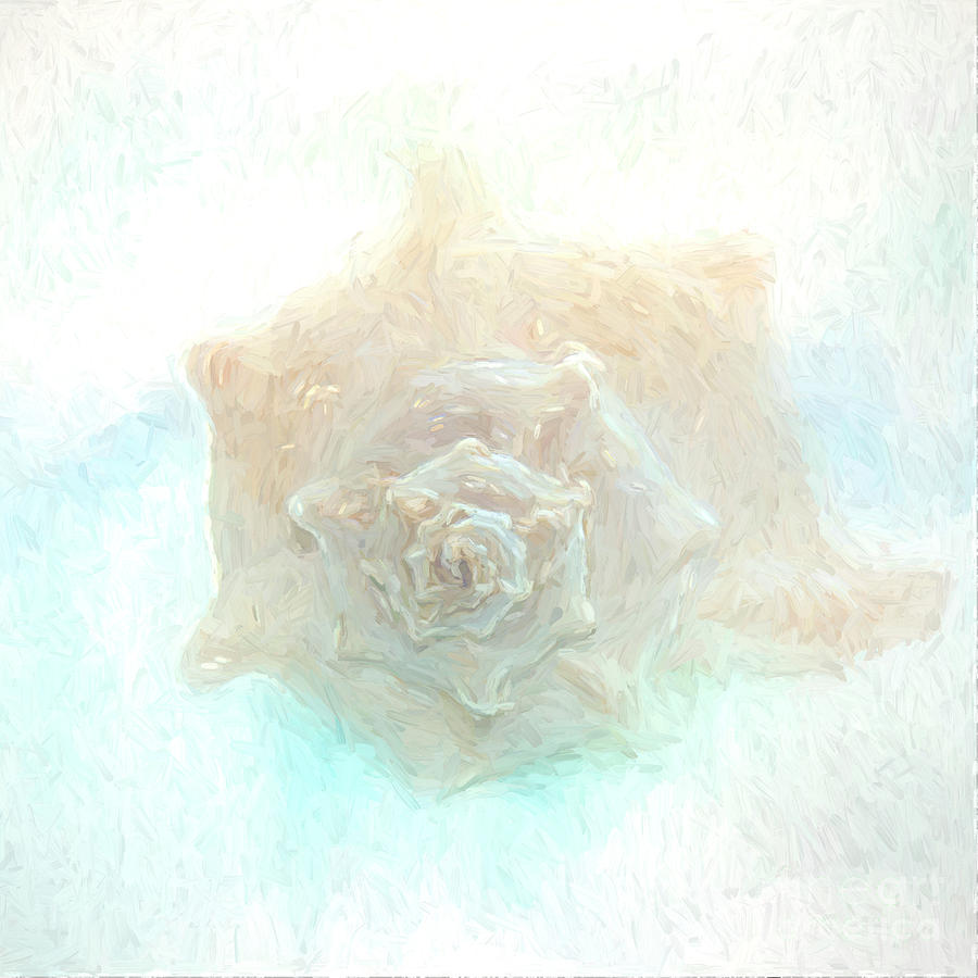 Shell-painterly Photograph by Pam  Holdsworth