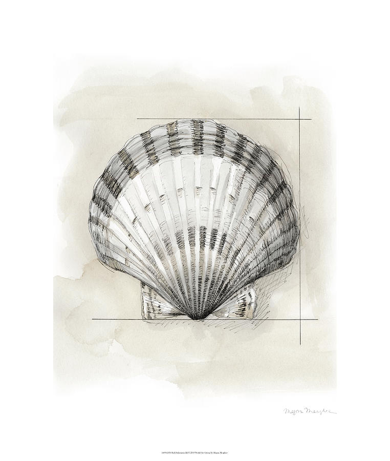 Shell Painting - Shell Schematic IIi by Megan Meagher