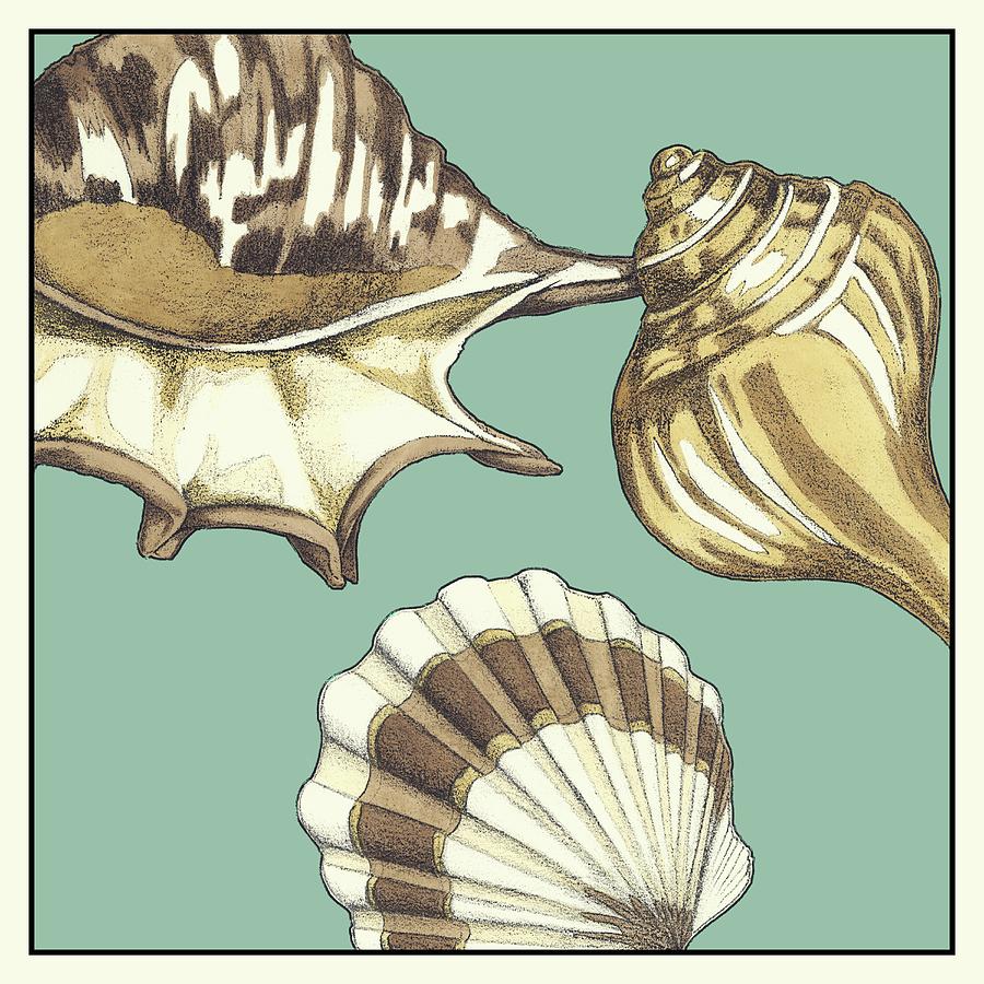 Shell Painting - Shell Trio On Blue IIi by Megan Meagher
