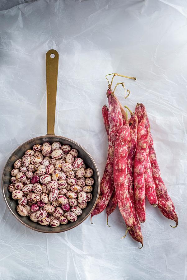 Shelled And Whole Borlotti Beans On White Paper Background Photograph by Nitin Kapoor