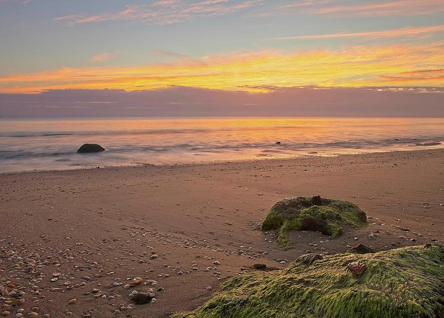Shells On the Beach Photograph by Steve DaPonte