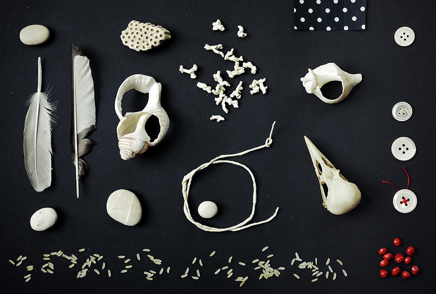 Shells, Pebbles And Buttons Photograph by Fiona Crawford Watson