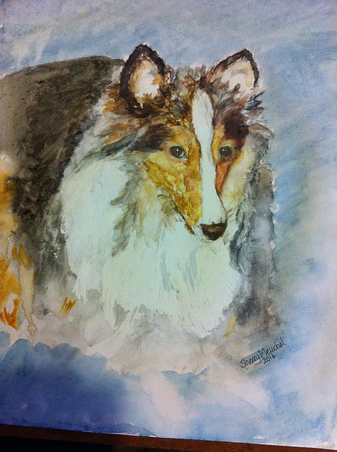 Sheltie Painting by Sherry Meuchel