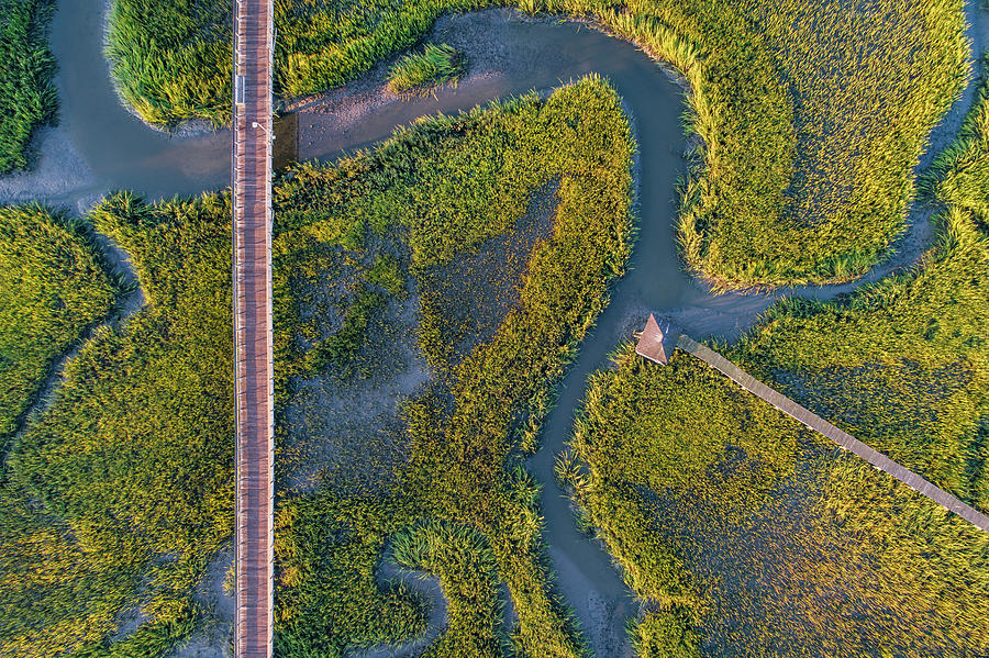 Shem Creek Marsh Patterns Photograph by Donnie Whitaker