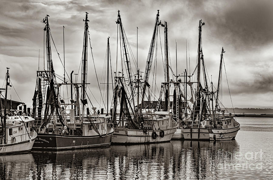 Shem Creek Saltwater Cowboys in Sepia Photograph by Dale Powell