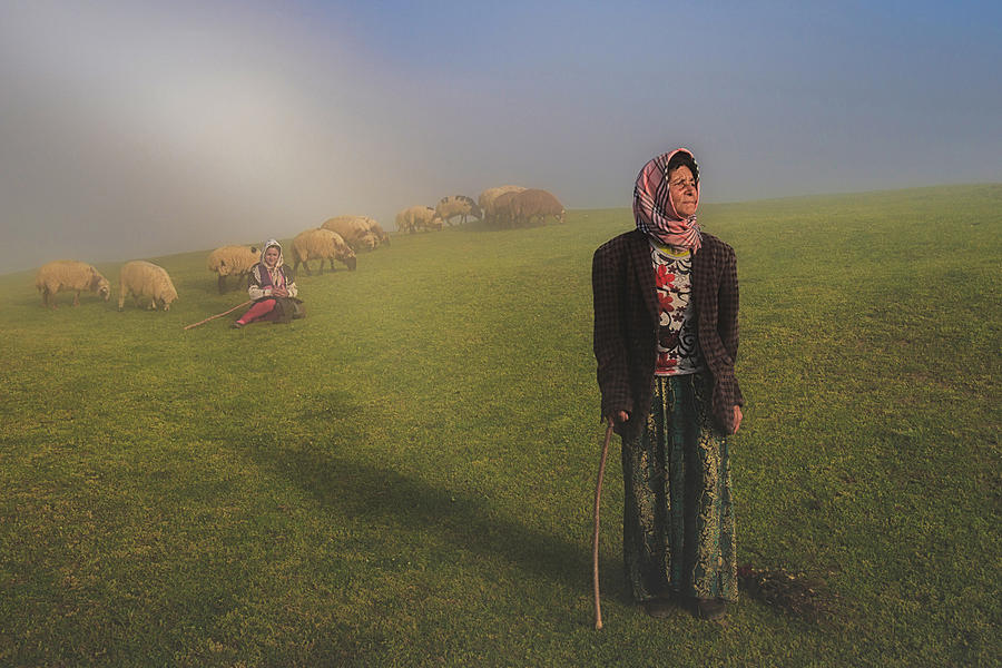 Documentary Photograph - Shepherd In Fog by Mohammad Shefaa