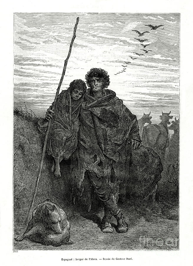 Shepherd Of Alava, Spain, 1886 Drawing by Print Collector
