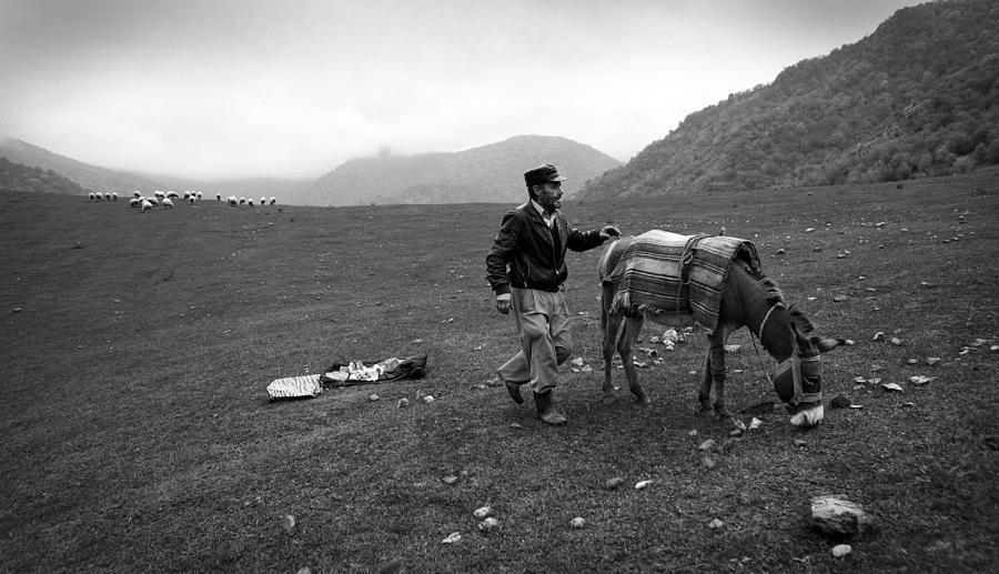 Shepherd With Donkey Photograph by Garik