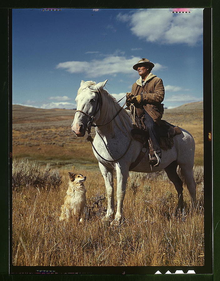 Shepherd with his horse and dog on Gravelly Range Painting by MotionAge Designs