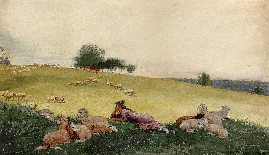 Winslow Homer Painting - Shepherdess of Houghton Farm, 1878 by Winslow Homer