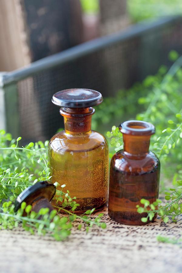 Shepherds Purse And Amber Apothecary Bottles Photograph by Martina Schindler