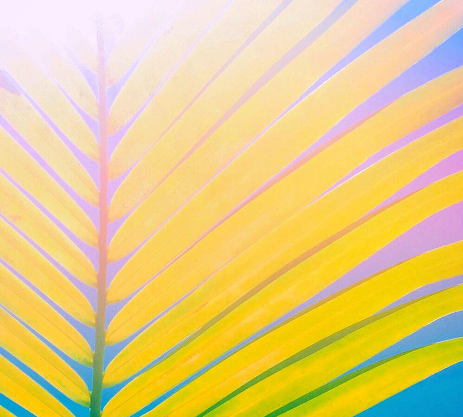 Sherbet Palm Photograph by Angelina Hills