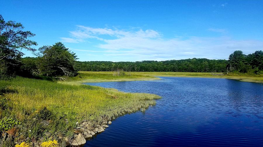 Sherman Lake Marsh from Lynch Road Photograph by Andrea Lowery - Fine ...