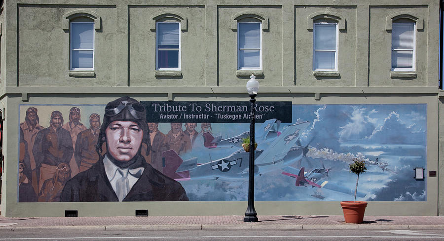 Sherman Rose Mural, Tuskegee Airman Painting by Carol Highsmith