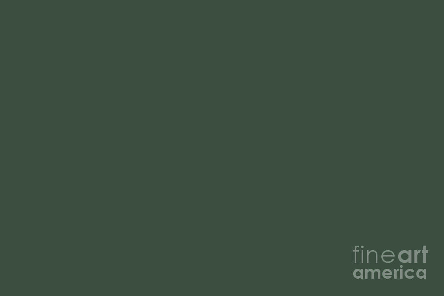 Dark Forest Green Solid Color w/Sherwin Williams Dard Hunter Green 0041  Digital Art by PIPA Fine Art - Simply Solid - Pixels