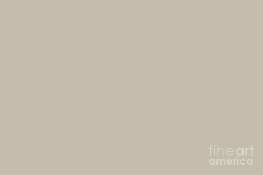 Sherwin Williams Trending Colors of 2019 Shiitake Light Beige Brown SW 9173 Solid Color Digital Art by PIPA Fine Art - Simply Solid