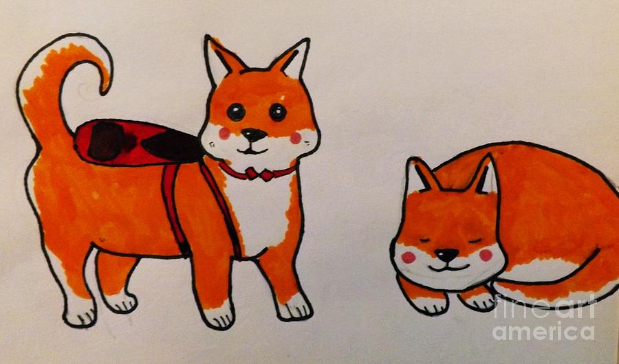 Shiba Inu