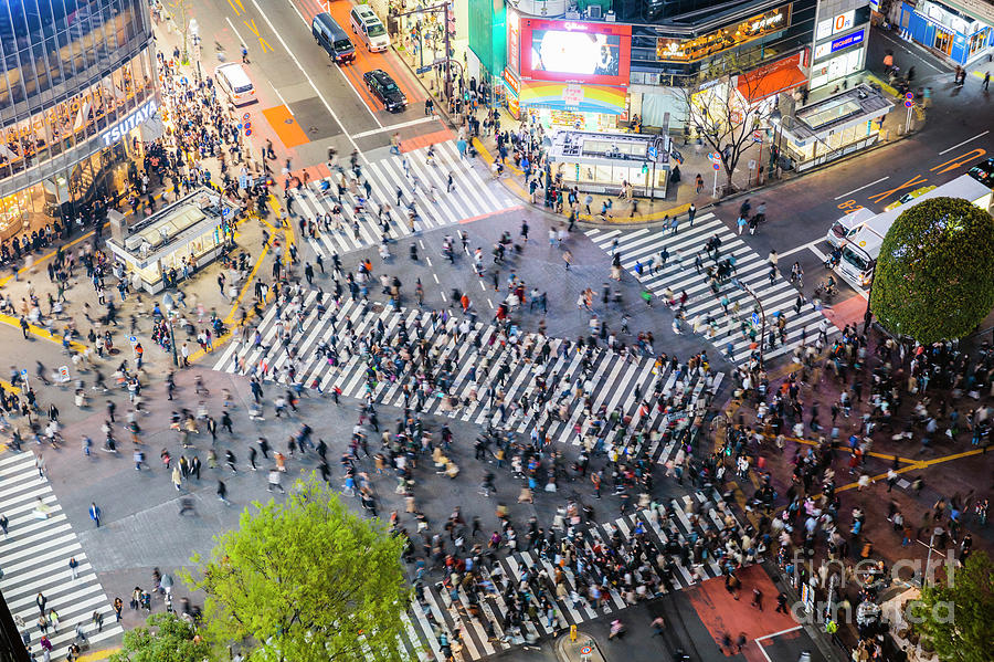 Shibuya crossing from the top, Tokyo, Japan Photograph by Matteo Colombo