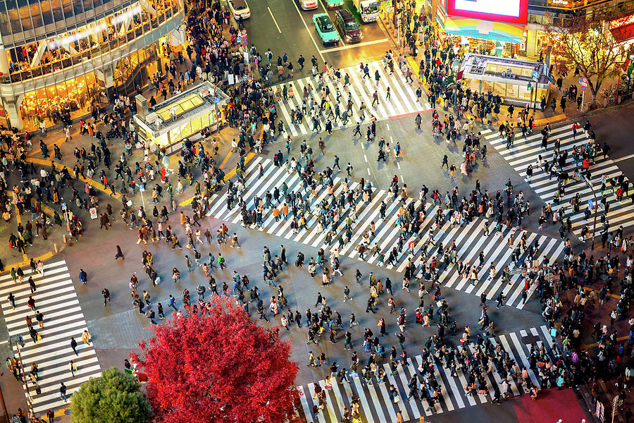 Shibuya Crossing from top view Photograph by Anek Suwannaphoom