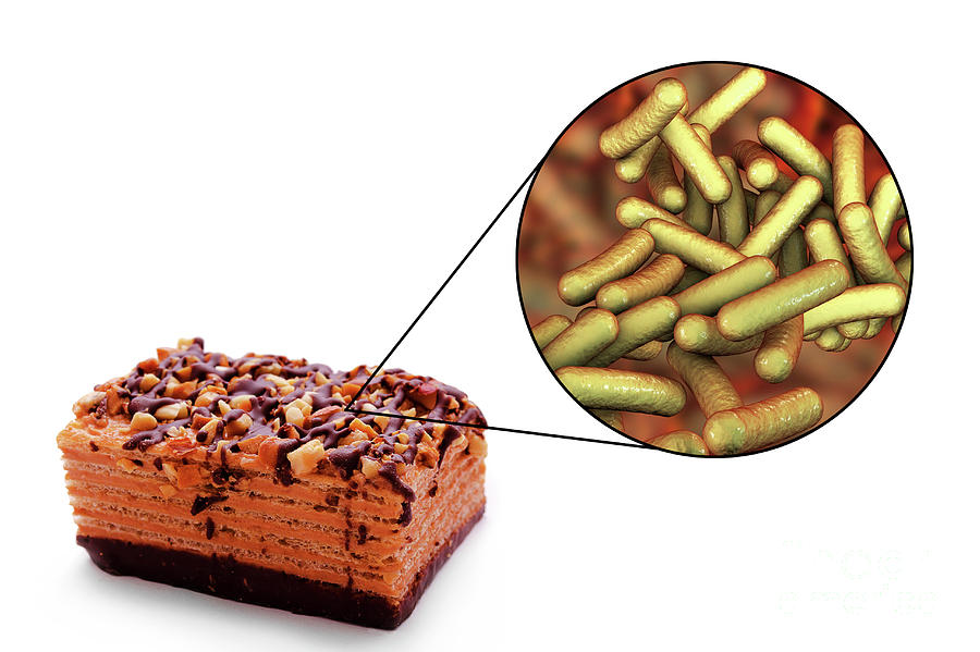 Shigella Food Poisoning Photograph by Kateryna Kon/science Photo