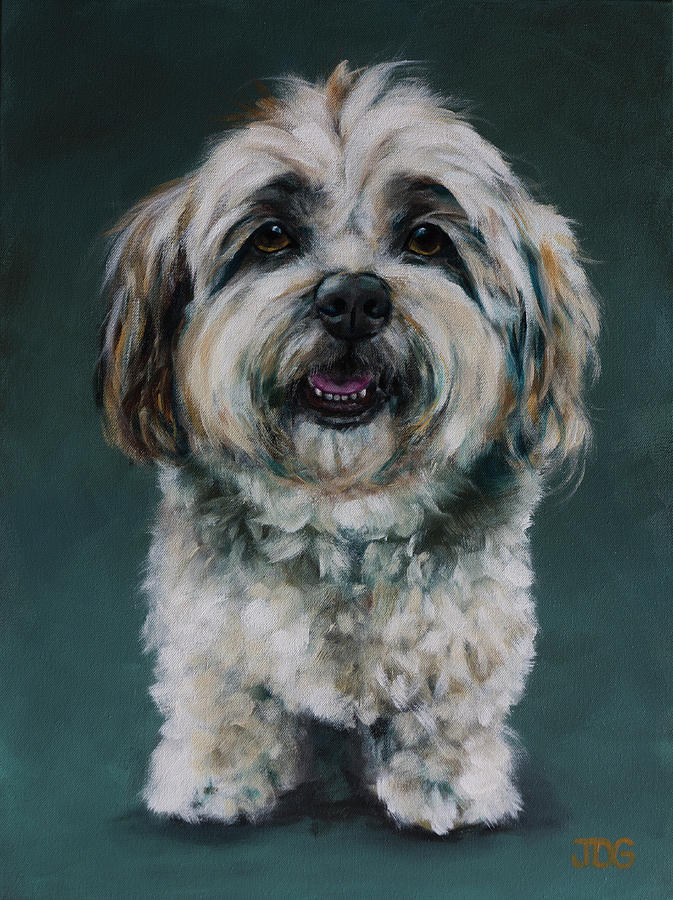 Shih-Poo Painting by Julie Dalton Gourgues - Fine Art America