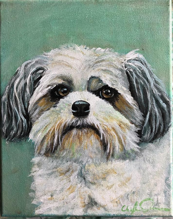 Shih Tzu Painting by Charleena Treanor - Fine Art America