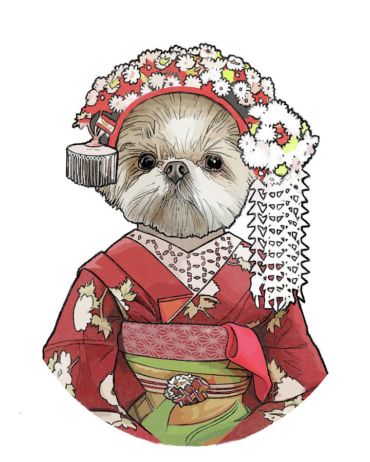 Shih Tzu Geisha Print Digital Art by Stella Robinson - Fine Art America