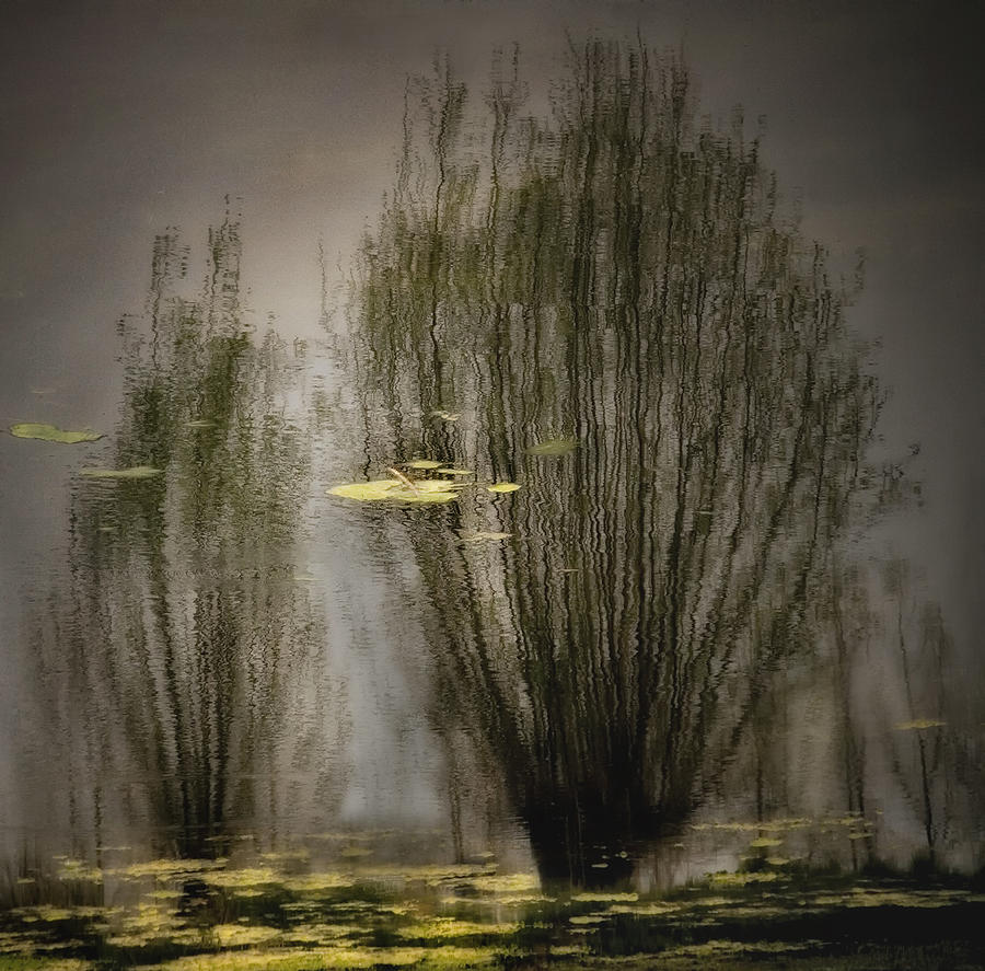 Spring Photograph - Shimmering Reflections by Yvette Depaepe